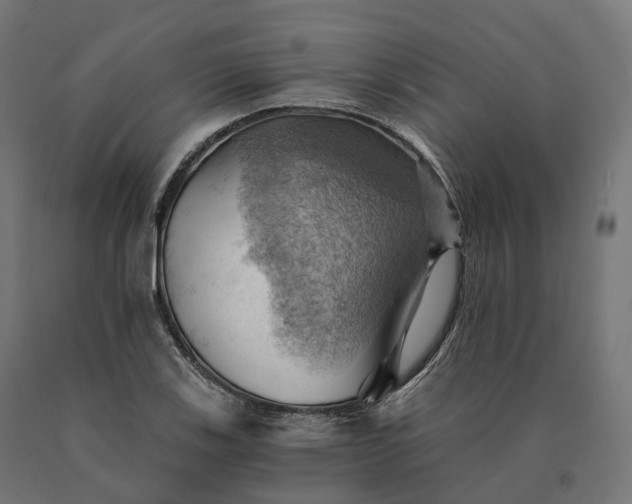 X0000090781123200708031709