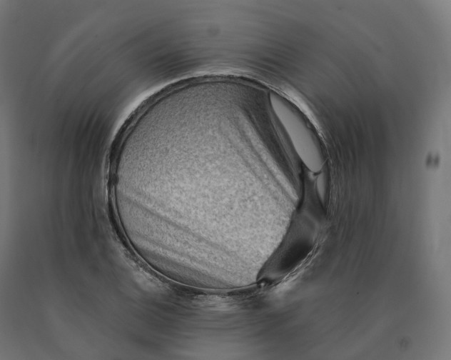 X0000090781124200708031709