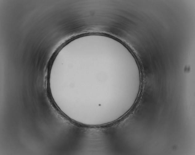 X0000090781126200708031709