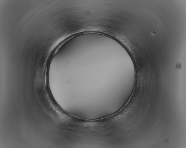X0000090781127200708031709