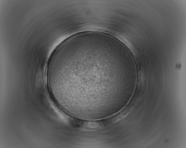 X0000090781128200708031709
