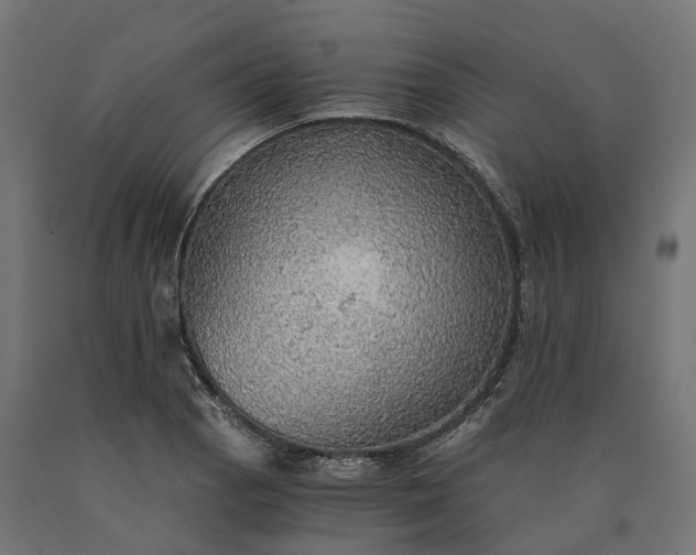 X0000090781129200708031709