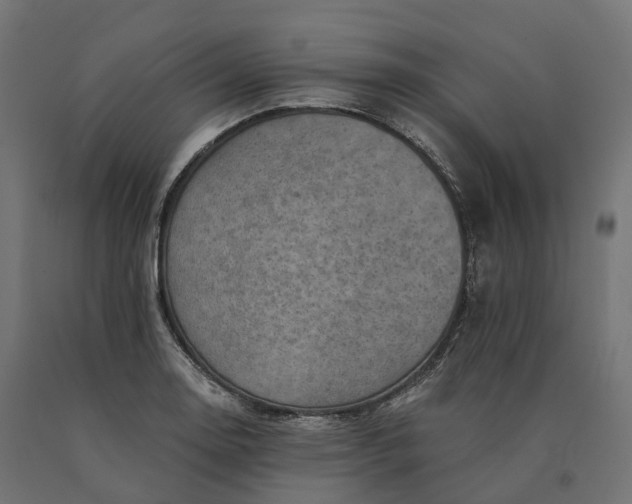 X0000090781130200708031709
