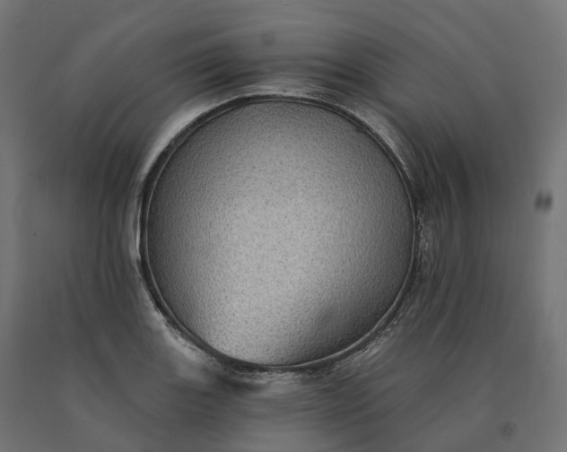 X0000090781131200708031709