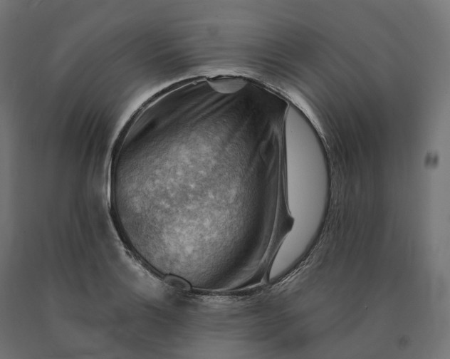 X0000090781132200708031709