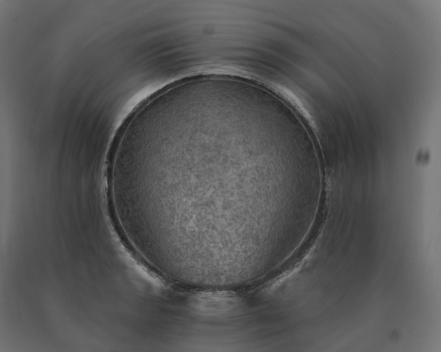 X0000090781133200708031709