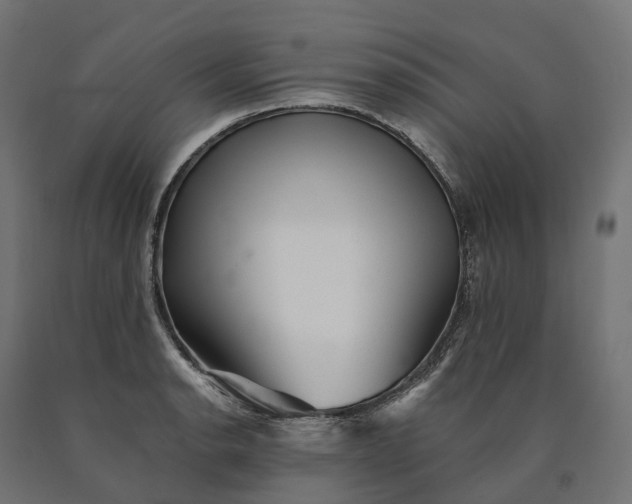 X0000090781134200708031709
