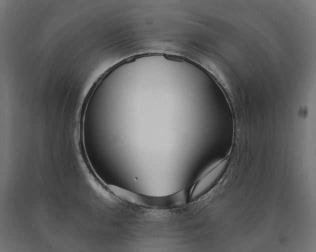 X0000090781136200708031709
