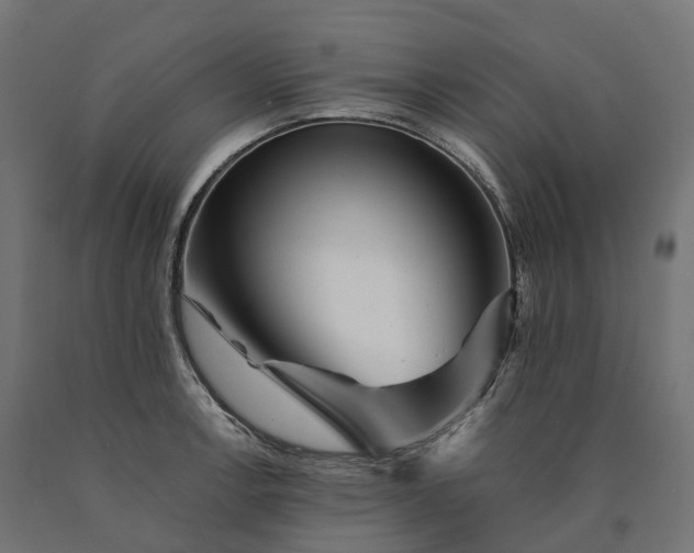 X0000090781138200708031709
