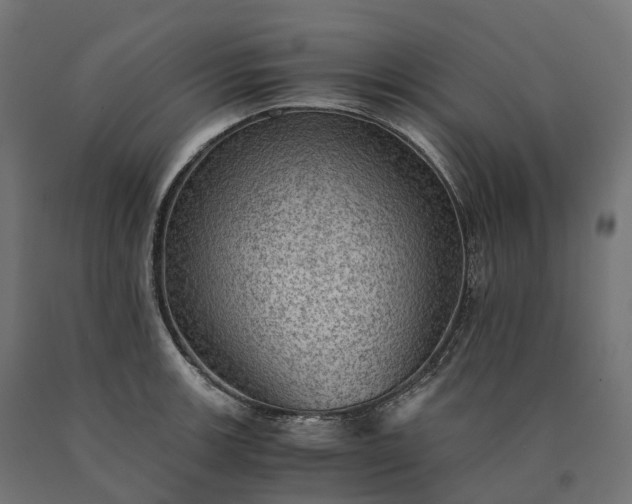 X0000090781139200708031709