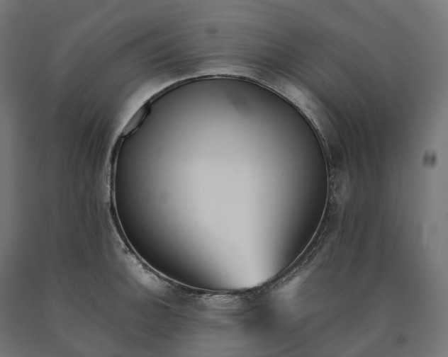 X0000090781140200708031709