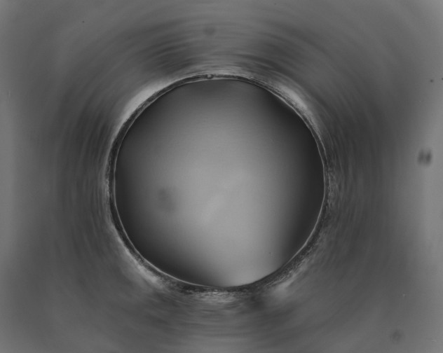 X0000090781141200708031709