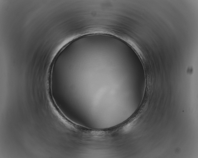 X0000090781142200708031709