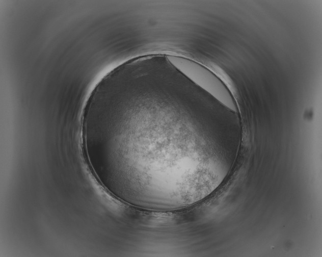 X0000090781144200708031709