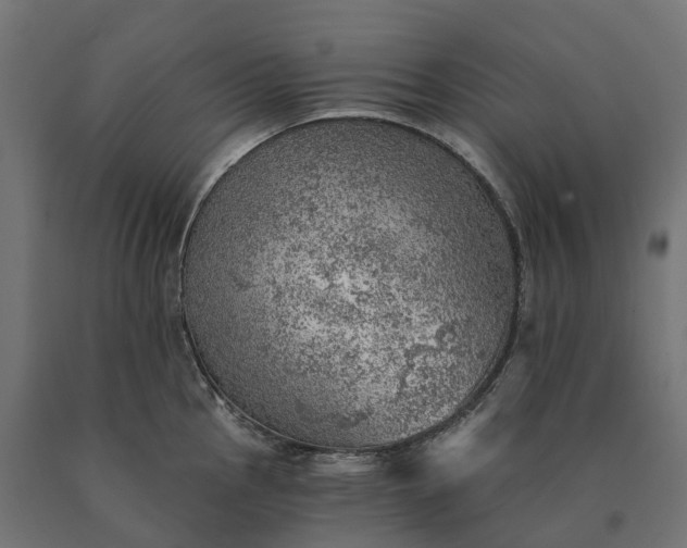 X0000090781145200708031709