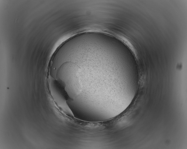 X0000090781146200708031709