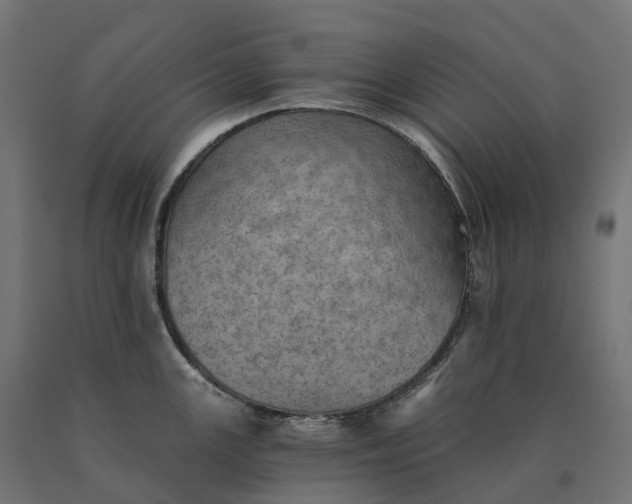 X0000090781147200708031709