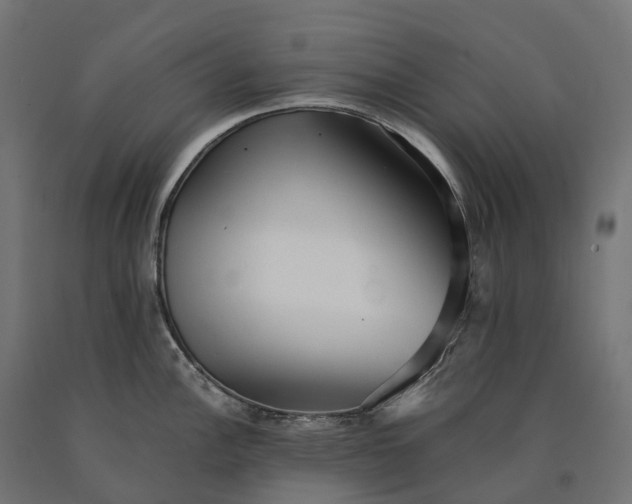 X0000090781148200708031709