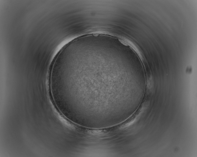 X0000090781149200708031709