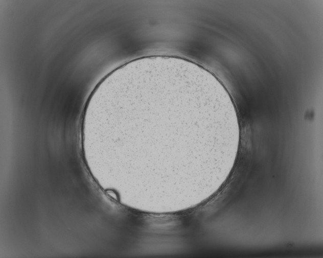 X0000090781150200708031709