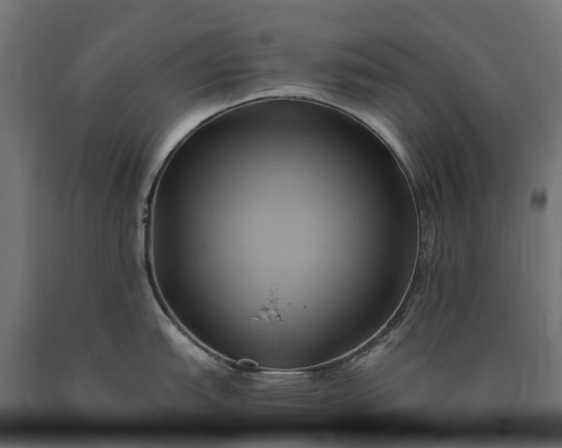 X0000090781151200708031709