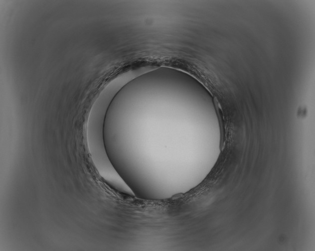 X0000090781153200708031708
