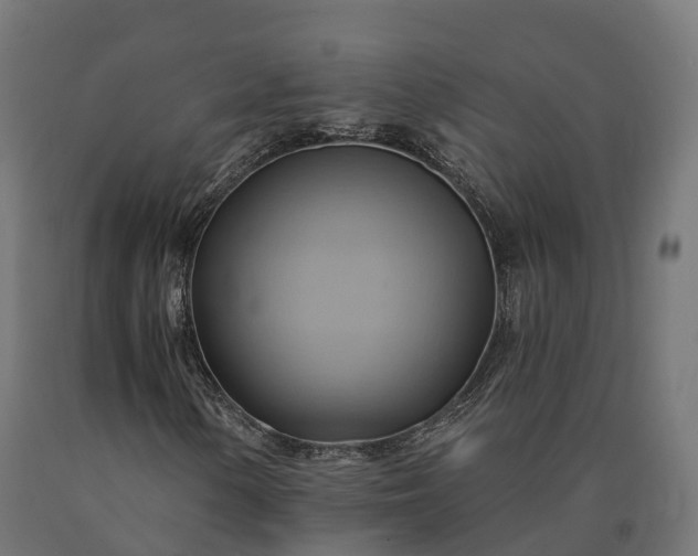 X0000090781154200708031708