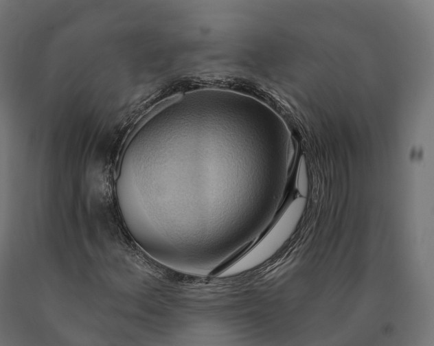 X0000090781156200708031708
