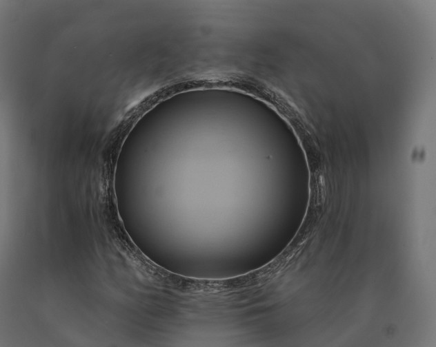 X0000090781158200708031708