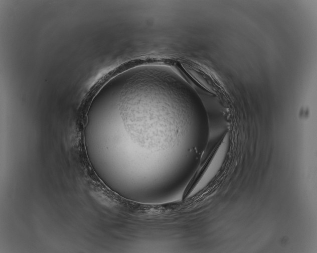 X0000090781160200708031708