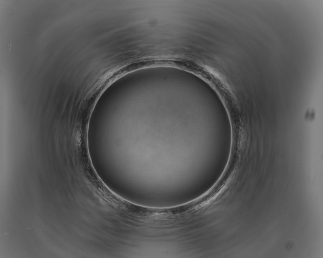 X0000090781161200708031708