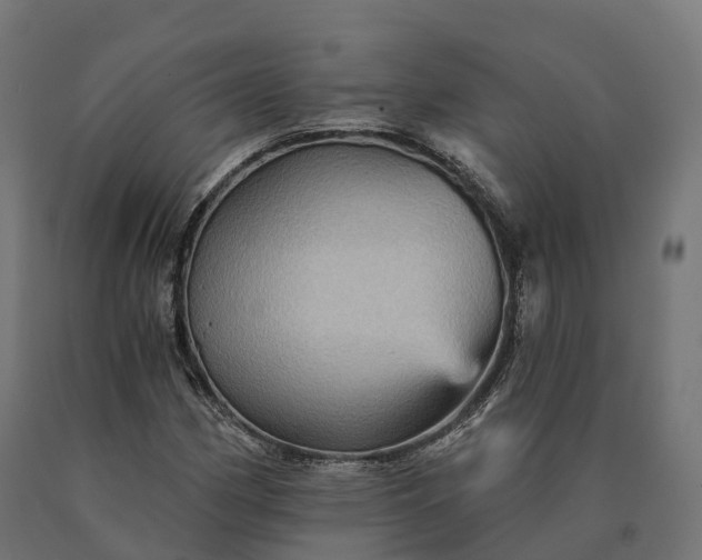 X0000090781162200708031708
