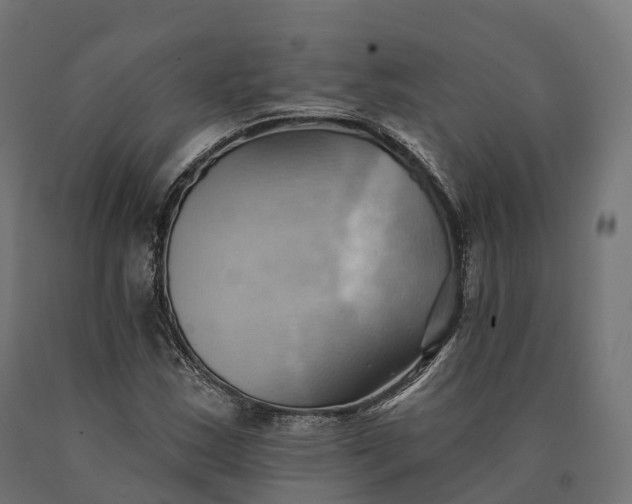 X0000090781163200708031708