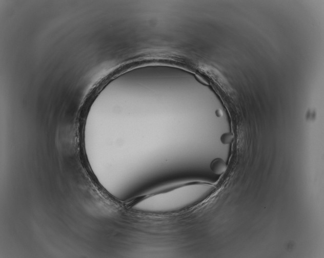 X0000090781164200708031708