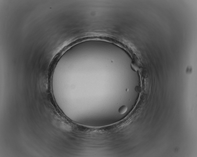 X0000090781165200708031708