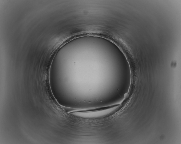 X0000090781169200708031708