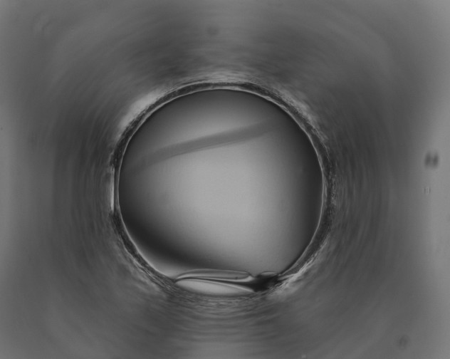 X0000090781171200708031708