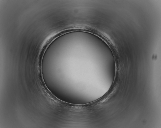 X0000090781172200708031708