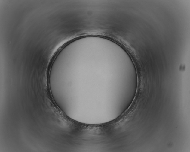 X0000090781174200708031708