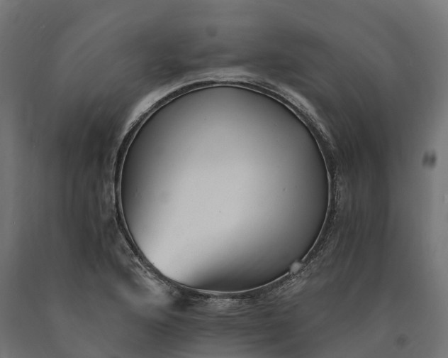 X0000090781176200708031708