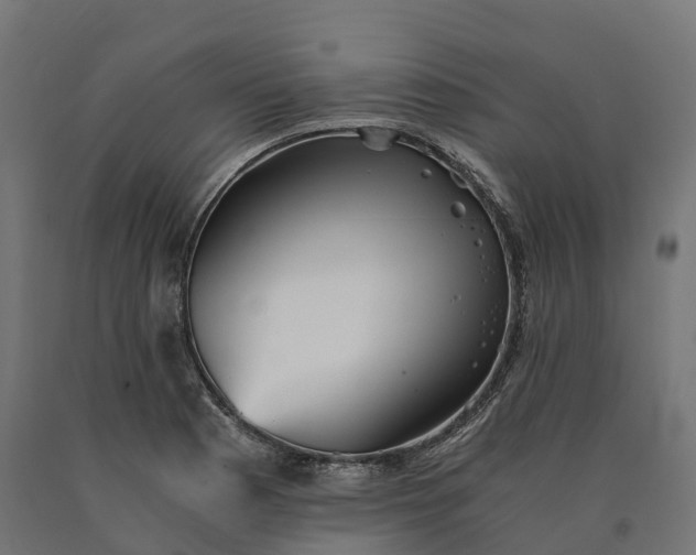 X0000090781177200708031708