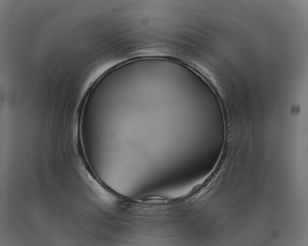 X0000090781179200708031708