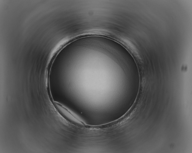 X0000090781180200708031708