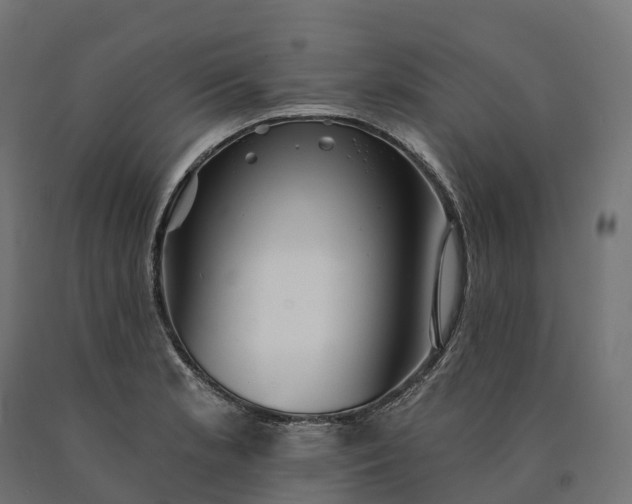 X0000090781181200708031708