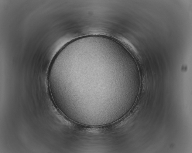 X0000090781182200708031708