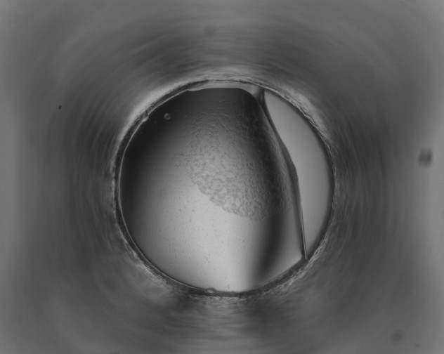 X0000090781184200708031708