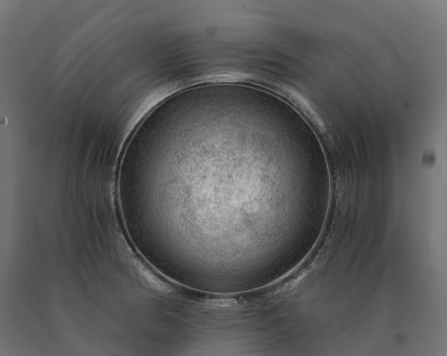 X0000090781186200708031708
