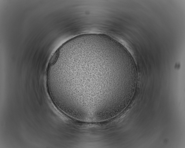 X0000090781187200708031708