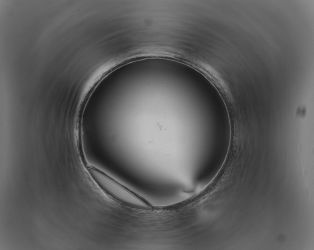 X0000090781188200708031708