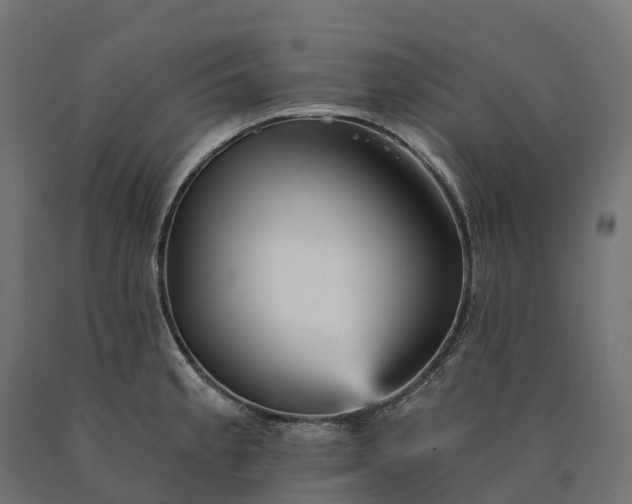 X0000090781189200708031708